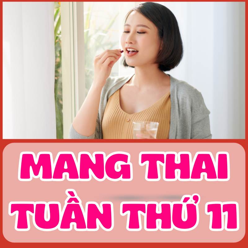 Chăm sóc sức khỏe cho mẹ bầu trong tuần thai thứ 11 của thai kỳ